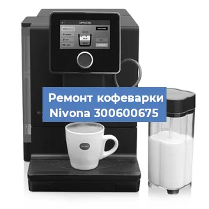 Чистка кофемашины Nivona 300600675 от накипи в Волгограде